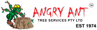 Brisbane Tree Removal Services