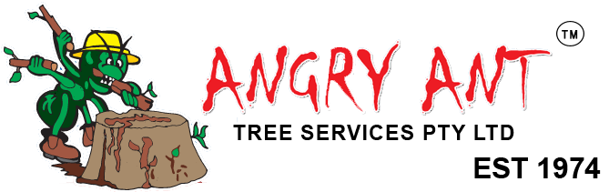 Tree Removal Brisbane