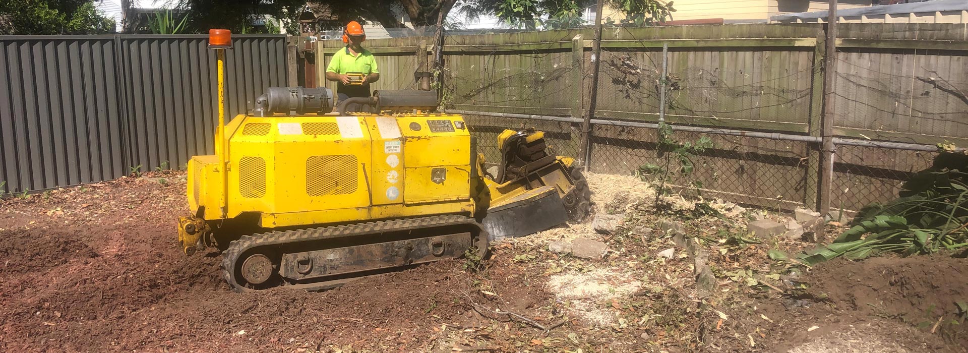 Brisbane Tree Removal Services